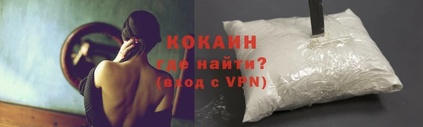 PSILOCYBIN Горно-Алтайск