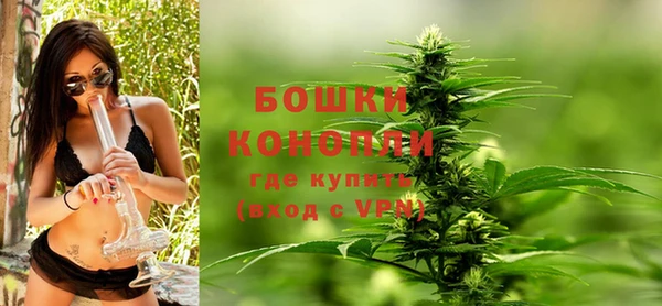 стафф Вяземский