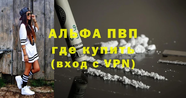 стафф Вяземский