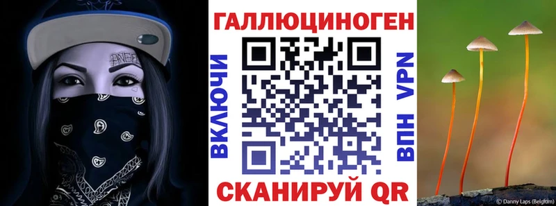 Купить закладки  Завитинск  Галлюциногенные грибы мухоморы 