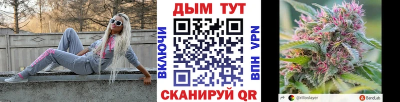 Купить закладки  Завитинск  Шишки марихуана THC 21% 